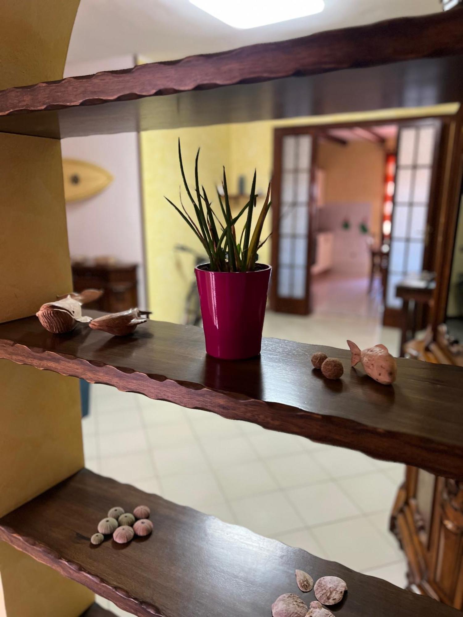 贡内萨Casa Maestrale公寓 外观 照片